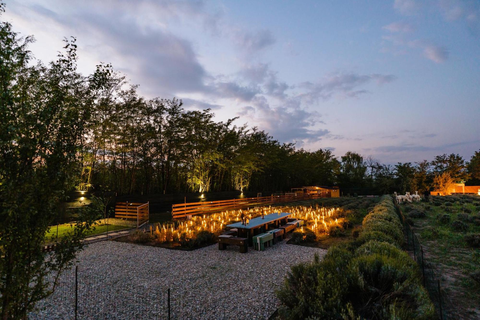 The Tribe Alpaca Retreat Hotel Branesti Exterior foto