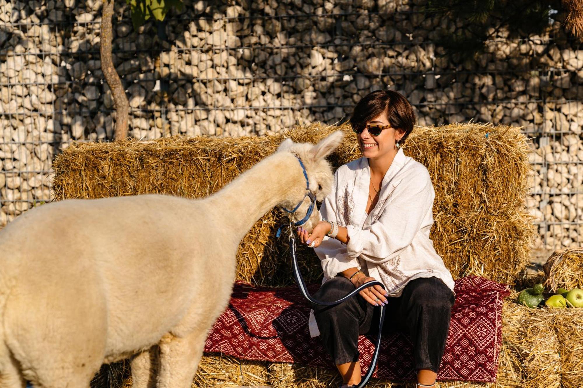 The Tribe Alpaca Retreat Hotel Branesti Exterior foto