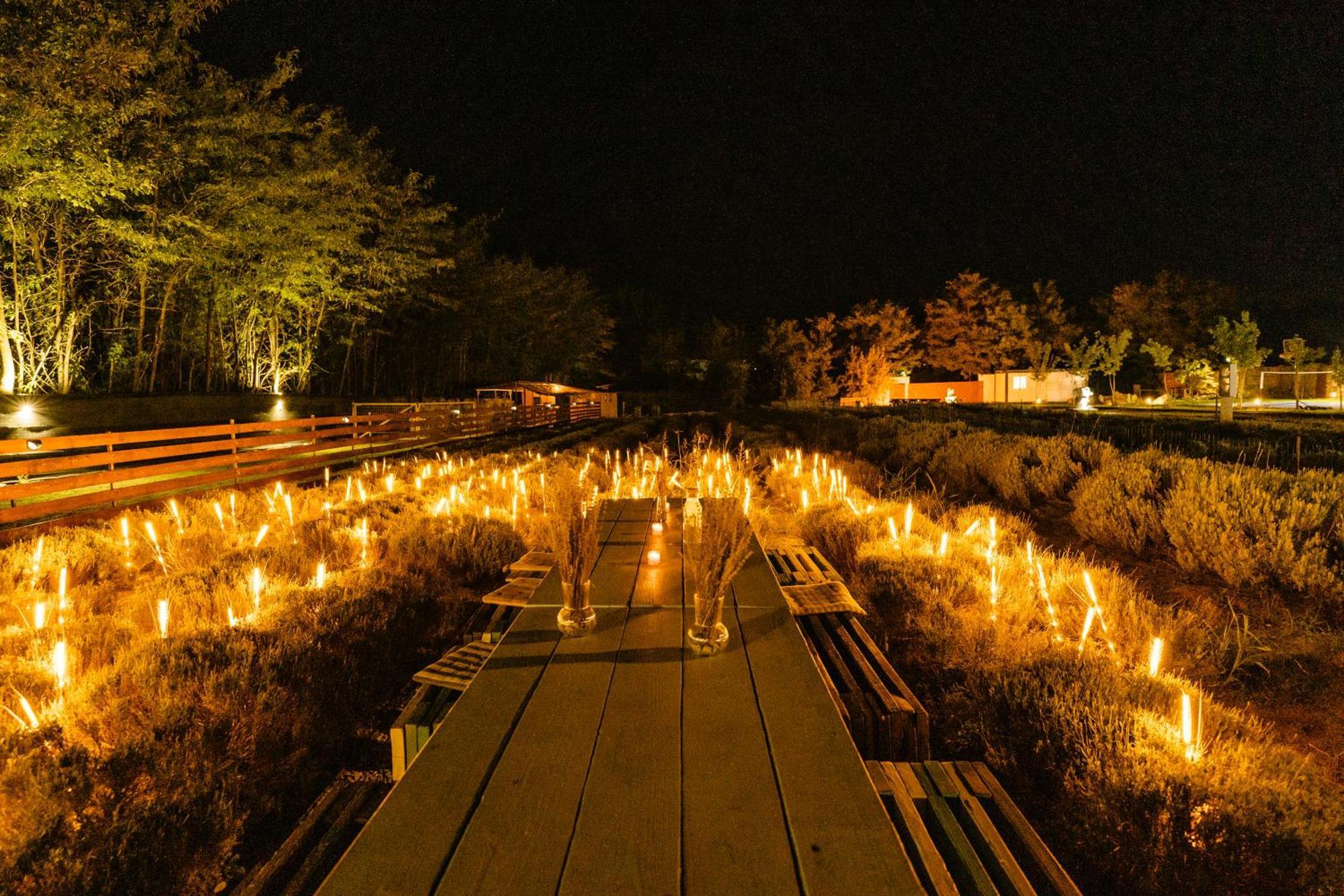 The Tribe Alpaca Retreat Hotel Branesti Exterior foto